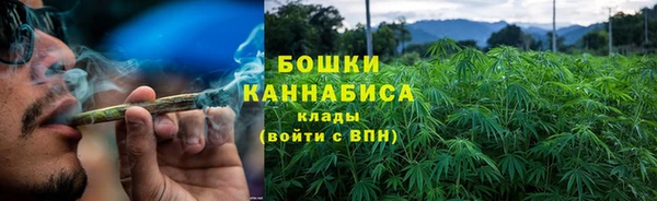 эйфоретик Грязовец