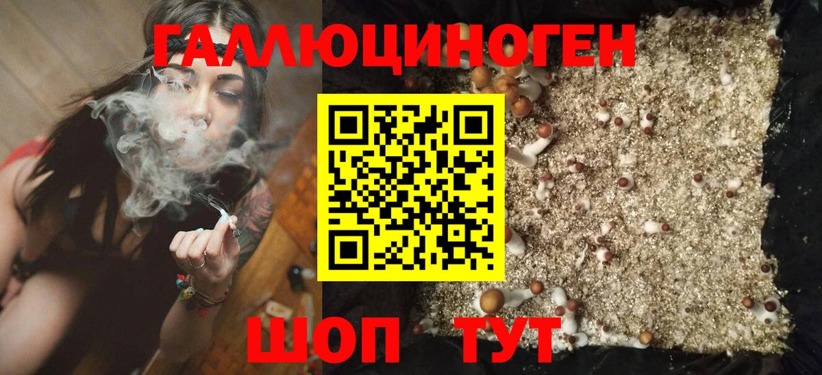 Галлюциногенные грибы мицелий  Вход с VPN  Галлюциногенные грибы ЛСД  Амурск 