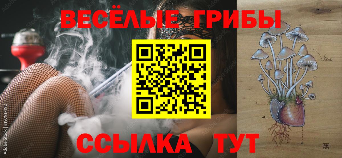 Псилоцибиновые грибы GOLDEN TEACHER Амурск