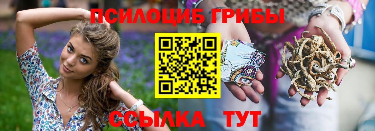 Псилоцибиновые грибы ЛСД Амурск