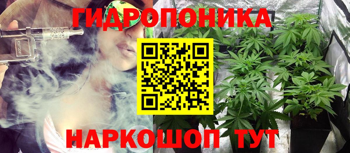 Шишки марихуана марихуана Амурск